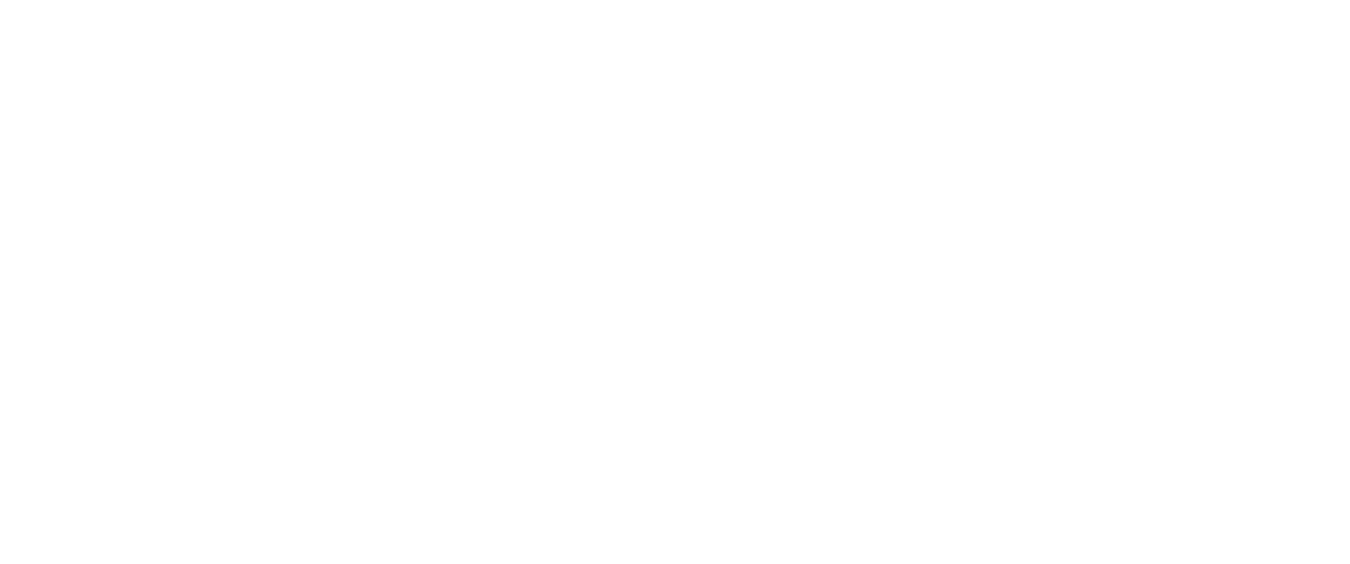 Logo-Maxhub